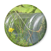 Water Jug Magnet