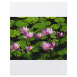 Water lilies flyers
