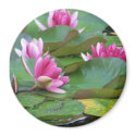 Water Lilies magnets