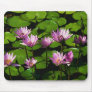 Water lilies mouse mat