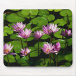 Water lilies mousepads