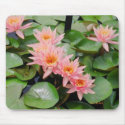 Water Lilies Mousepad