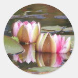 Water Lillies Round Stickers