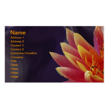Water Lilly on Purple Background Business Card