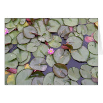 Water Lily Blank Card