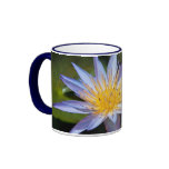Water Lily Coffee Mug