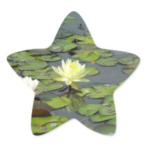 Water Lily Duo Star Stickers