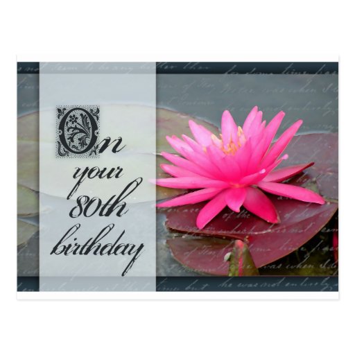 Water lily for 80th birthday postcard