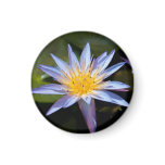 Water Lily Magnets