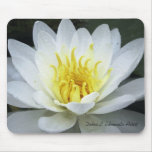 Water Lily Mouse Pad