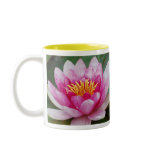 Water Lily Mug