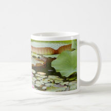 Water Lily Pads Ponds Coffee Mug