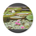 Water Lily Pads Ponds magnets