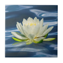 Water Lily Reflected on Blue Water Tile