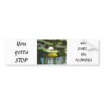 Water Lily Reflections Bumper Stickers