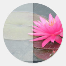 Water lily template round stickers