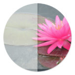 Water lily template stickers