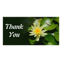 water lily thank you Photo Card