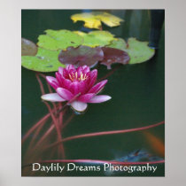 Water Lily with Koi Print
