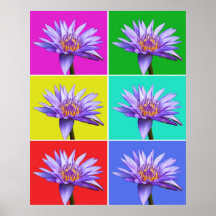 Water Lily x6 Posters