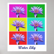 Water Lily x6 (Titled) Poster