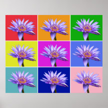 Water Lily x9 Posters
