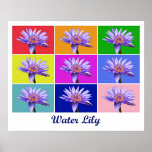 Water Lily x9 (Titled) Poster