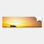 Water Mirror Bumper Stickers