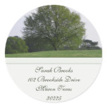 Water Oak Tree Address Label Stickers
