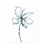 Water orchid postcard