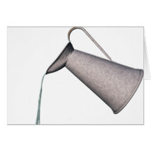 Water Pitcher Card