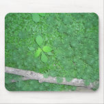Water Plants Mousepad