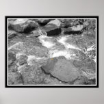 Water & Rocks posters