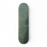 Water shaows skateboards