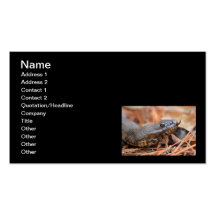 Water Snake Business Card Template
