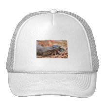Water Snake Mesh Hats