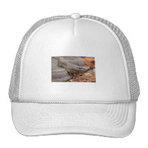 Water Snake Mesh Hats
