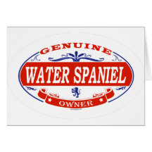 WATER SPANIEL_ GREETING CARDS