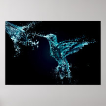 Water Splash Bird Posters