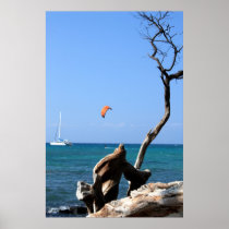 Water Sports in Hawaii Poster