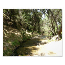 Water Stream Photo Art