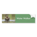 Water Walking Mallard bumper stickers