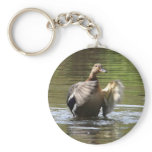 Water Walking Mallard keychains