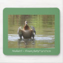 Water Walking Mallard mousepads