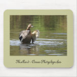 Water Walking Mallard mousepads