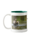 Water Walking Mallard mugs