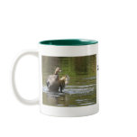 Water Walking Mallard mugs