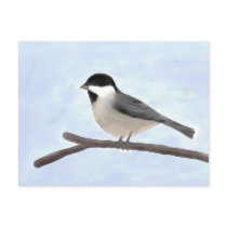 Watercolor Black-capped Chickadee Postcard