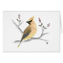 Watercolor Cedar Waxwing Note Card