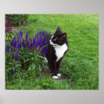 Watercolor Garden Cat posters